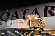 Argentina superó las 67,7 millones de vacunas contra la covid-19, informó la Nación