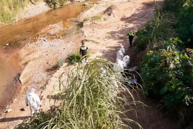 Pericia de ADN confirma que los restos hallados son de Rocío