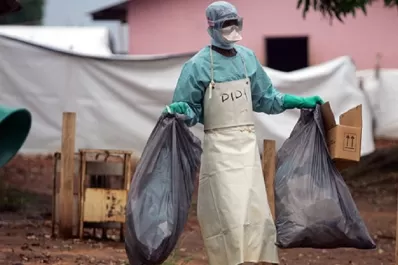 Alerta mundial, tras una muerte por virus de Marburgo