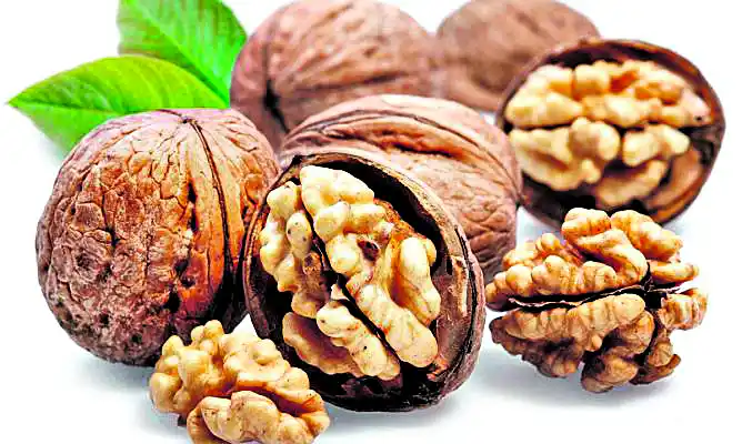 Las grasas que necesitamos sí o sí