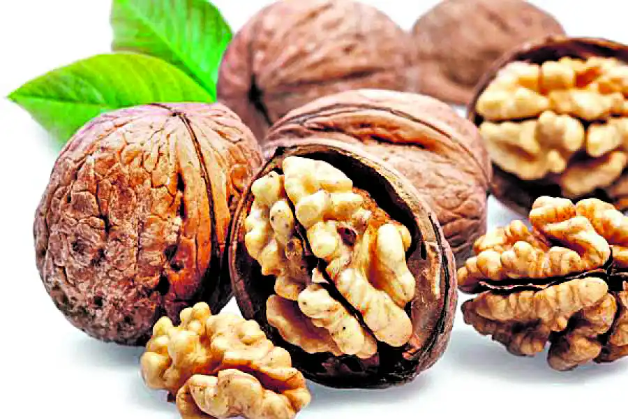 Las grasas que necesitamos sí o sí