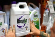 Bayer pierde la tercera apelación por el glifosato