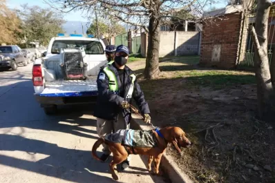 Desaparición seguida de muerte: “No pasamos una, sino varias veces por ahí y no lo vimos”