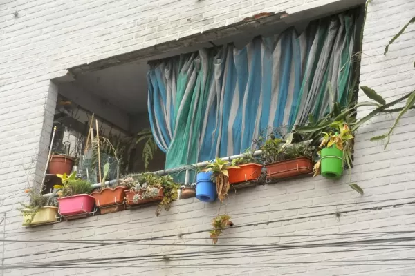 Anticipándose a la primavera: comienzan a verse más balcones con flores y plantas