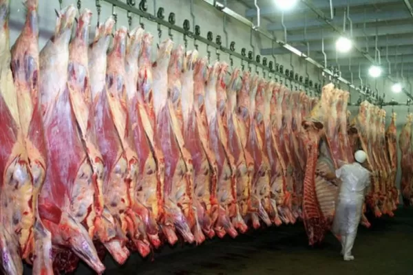 Kulfas: Hemos logrado estabilizar el precio de la carne