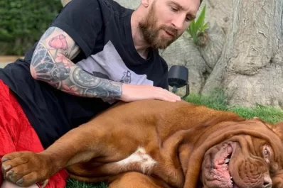 ¿Qué pasará con Hulk?: el gigante perro de la familia Messi sigue en Barcelona