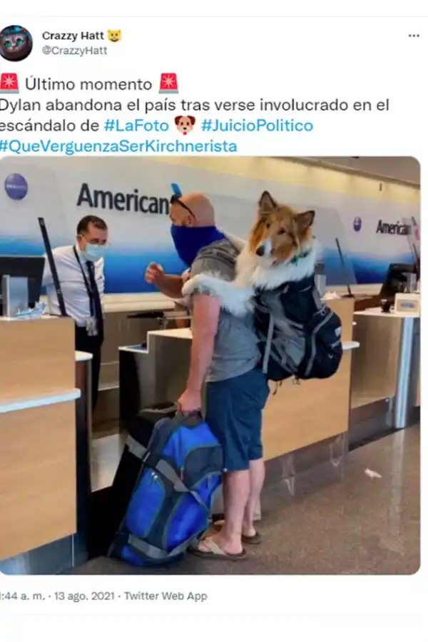 Desde Dylan con barbijo hasta Macri en la “fiesta clandestina”: los memes del festejo en Olivos