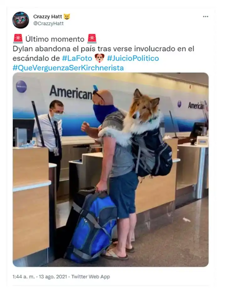 Desde Dylan con barbijo hasta Macri en la “fiesta clandestina”: los memes del festejo en Olivos