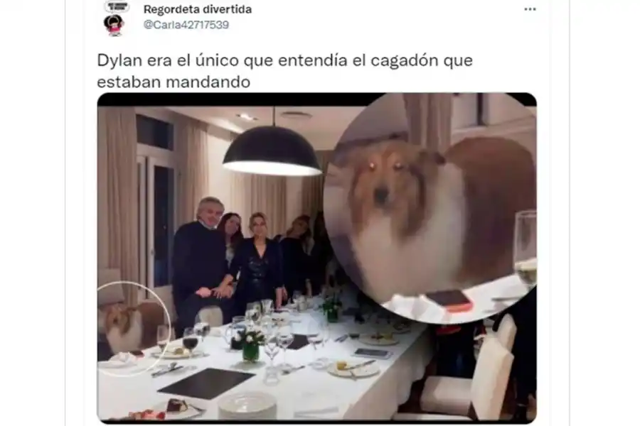 Desde Dylan con barbijo hasta Macri en la “fiesta clandestina”: los memes del festejo en Olivos