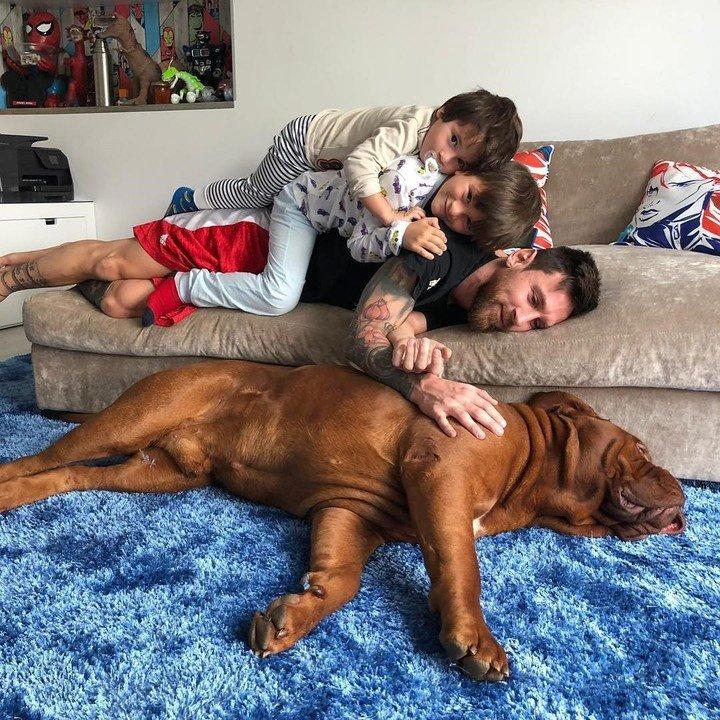 ¿Qué pasará con Hulk?: el gigante perro de la familia Messi sigue en Barcelona
