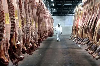 Faena de vacunos: en caída desde hace casi tres años