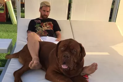 Dónde quedó Hulk, el enorme perro de Lionel Messi