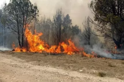 Julio, el mes más caluroso jamás registrado en la historia de la Tierra