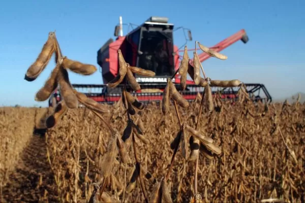 La Sociedad Rural criticó las políticas intervencionistas