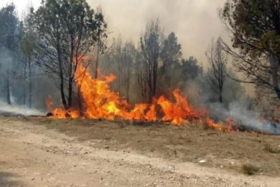 UNA CONSECUENCIA DEL CALENTAMIENTO. En la imagen que acompaña este artículo, el incendio en San Javier, en octubre de 2021, producto de los cinco meses sin lluvias que vivió la provincia. ARCHIVO LA GACETA