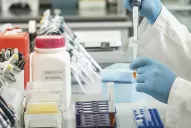 Afirman que la vacuna argentina contra la covid-19 podría entrar en fase 1 a principios de 2022