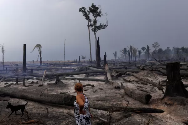 Calentamiento global: el aumento de temperatura será mayor en Sudamérica