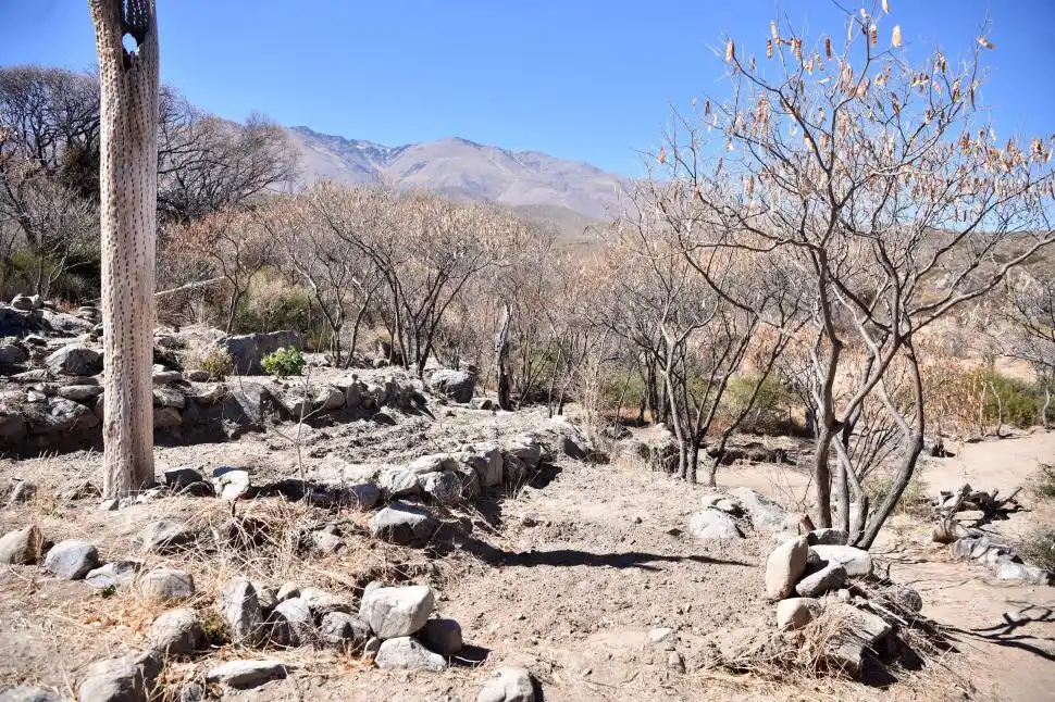 COMO ANTES. En algunas zonas, los pueblos originarios continúan utilizando terrazas de cultivo.