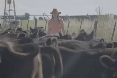 Llegan novedades al cable y a los canales de televisión de aire