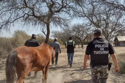 Operativos de Delitos Ambientales: rescatan 20 loros y seis caballos en Tucumán