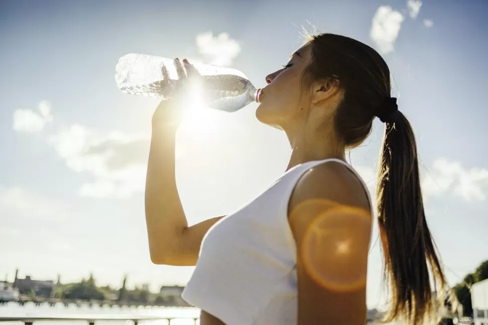 IMPORTANCIA. El agua regula la temperatura corporal, transporta nutrientes y elimina desechos perjudiciales. 