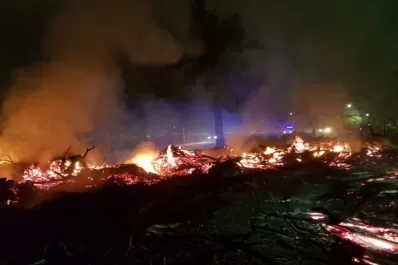 Un incendio dañó parte del Parque 9 de Julio: fue sofocado por los Bomberos