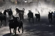 Otra forma de dar respuestas en Tribunales: Algunos ejemplos