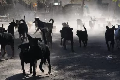 Otra forma de dar respuestas en Tribunales: Algunos ejemplos