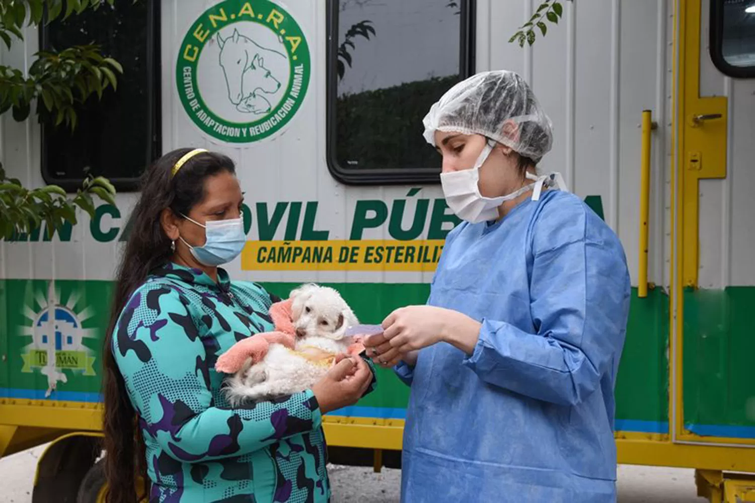 Castración de mascotas: dónde estará el tráiler veterinario