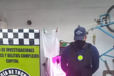 Buscaban una moto robada, encontraron 15 plantas de marihuana