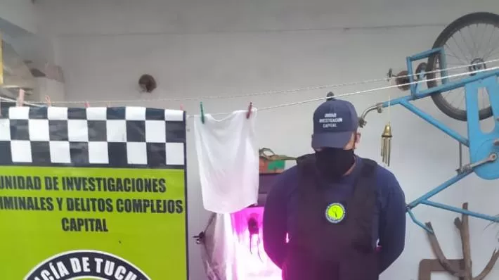 Buscaban una moto robada, encontraron 15 plantas de marihuana