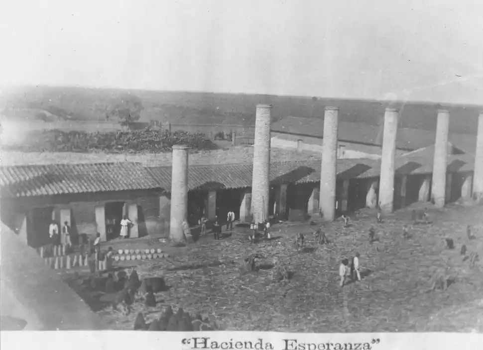 HACIENDA ESPERANZA. El germen de una planta modelo.