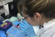 “El retroceso equivaldría a volver cuatro años hacia atrás”