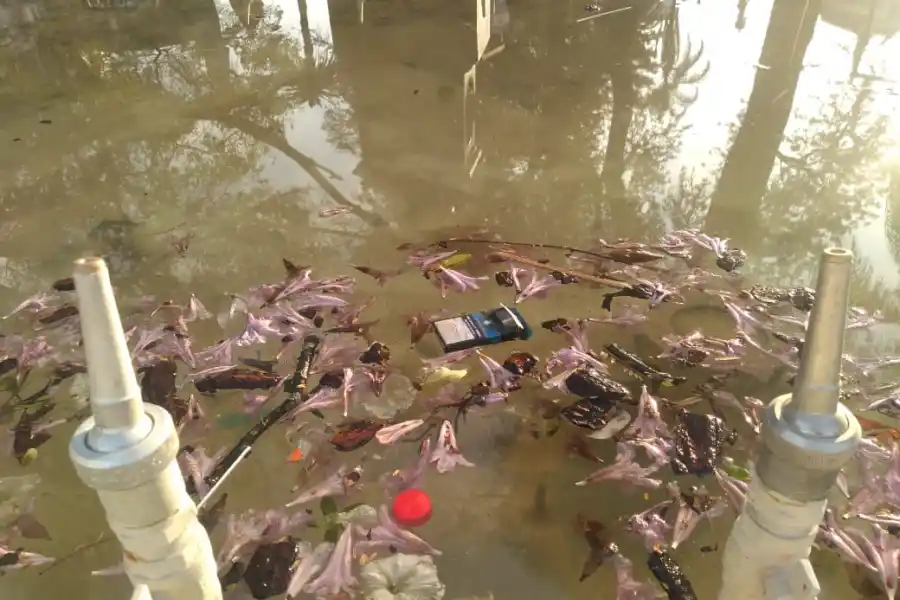 RESIDUOS. Las cajas de cigarrillos, las tapitas de gaseosas e inclusive las flores generan daños en las toberas. 
