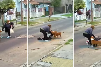 Impactante video: una mujer fue atacada por tres perros cuando volvía a su casa