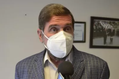 Destacan la cantidad de plantas de marihuana secuestradas este año