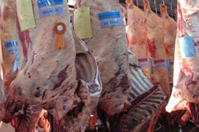 La Asociación cristiana de dirigentes de empresa criticó la renovación de las restricciones para exportar carne