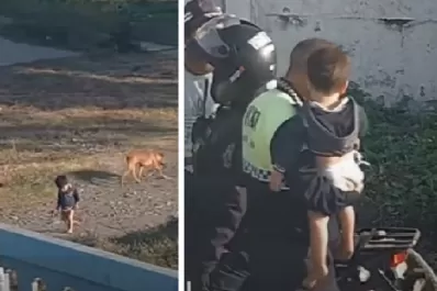 Video: encontraron a un bebé deambulando solo en un descampado