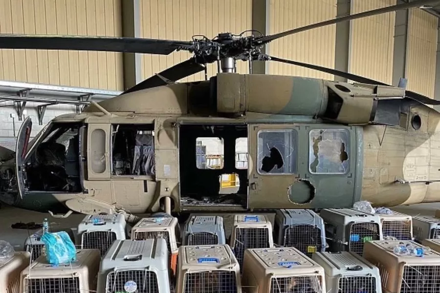 Denunciaron que EE.UU. abandonó a sus perros de servicio en el aeropuerto de Kabul
