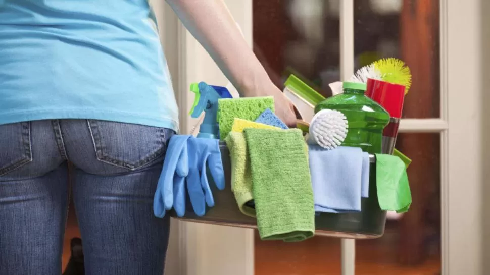 SUGERENCIA. Conviene usar esponjas y rejillas separadas para limpiar los diferentes ambientes de la casa. 