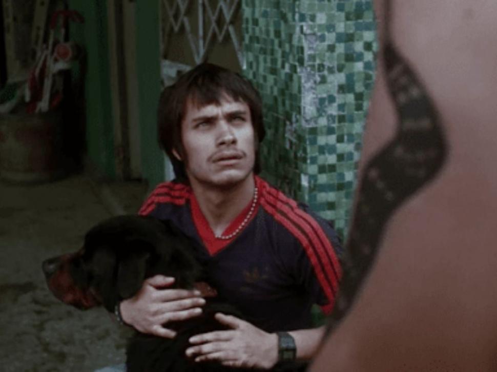 PELÍCULA CORAL. “Amores perros”, de Alejandro González Iñárritu, con Gael García Bernal. 
