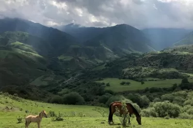 Fin de semana largo: si no te fuiste, estos son los 13 mejores programas para hacer en familia
