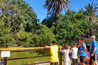 No tenían hijos, decidieron adoptar y ahora tienen quintillizos
