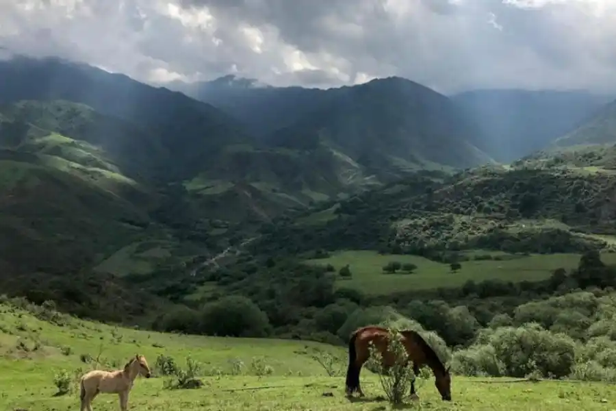 NO TAN DISTANTE. A pesar de lo que se cree, Anfama atrae muchos turistas. 