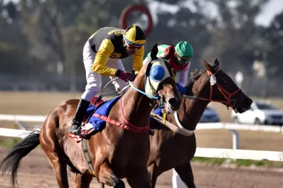 Turf: Wan Runner debe confirmar su ascenso