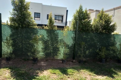 ¿Querés taparte del vecino?: cinco arbustos que le darán privacidad a tu jardín