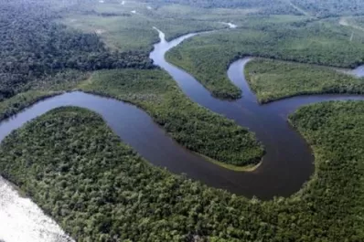 La protección del Amazonas