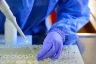 Variante Delta: Córdoba confirma seis nuevos casos Delta y ya son 122 los infectados