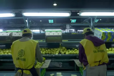 El mejor escenario para la campaña cítrica