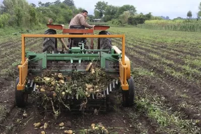 Día del Agricultor, un hombre clave para el mundo